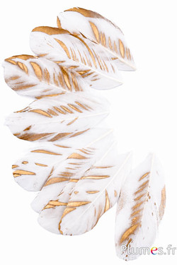Blütenblätter aus Federn - Flames - 6-8 x 3-4 cm- weiss-gold